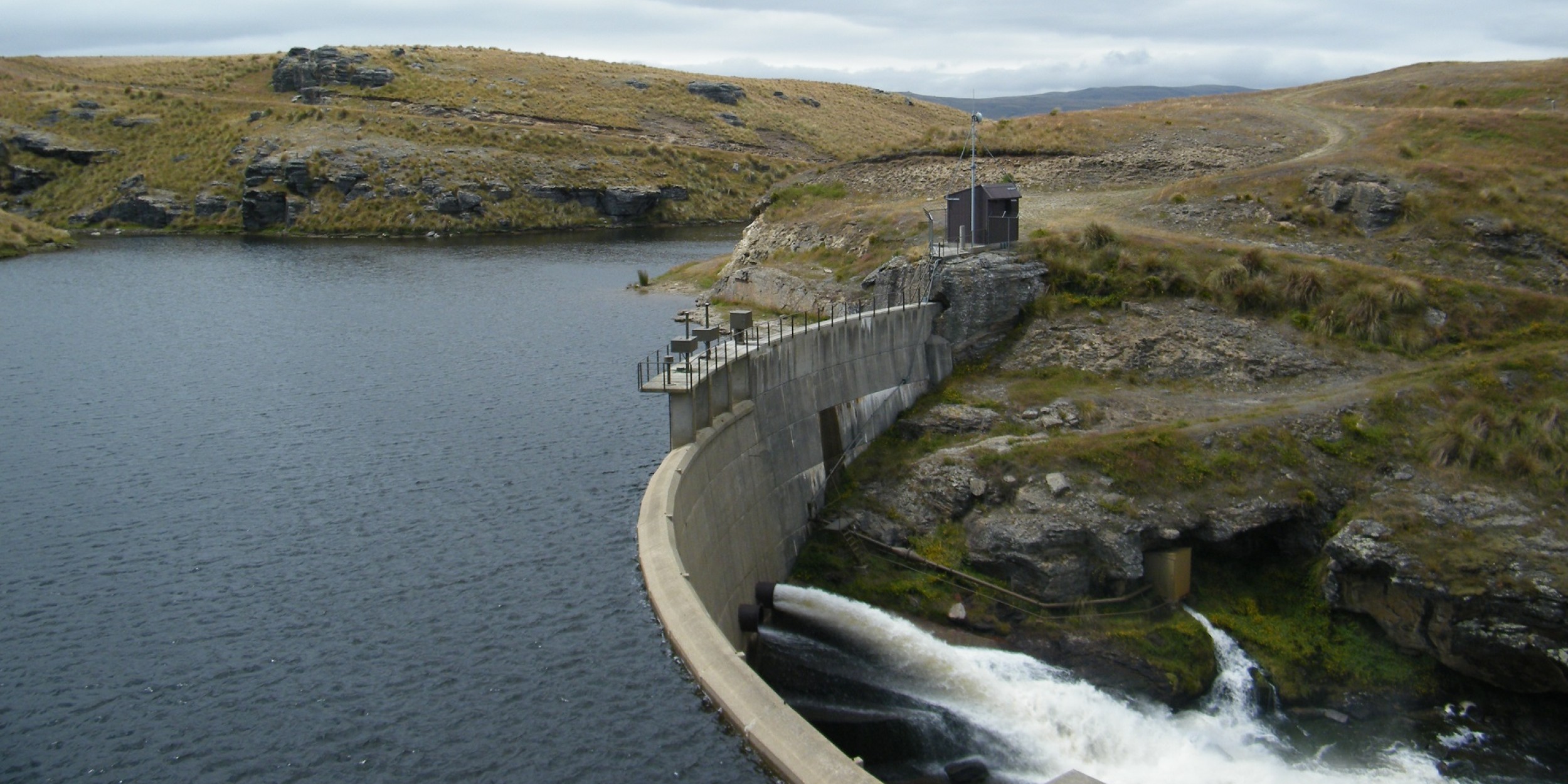 Lake Onslow climate conundrum Forest and Bird